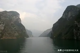 湿热下注宗筋松，清热燥湿可起痿图片