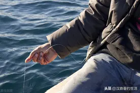 什么是小跑铅钓法？居然这么厉害图片