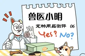 实测宠物智能饮水机，如果价格合适，铲屎官会给自家猫主子使用吗图片