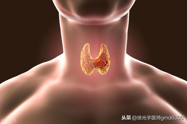 女性甲状腺结节饮食禁忌 2026年女性甲状腺结节饮食禁忌表