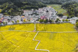 赏花何须去远方，广州10大赏花胜地，约上三五好友周末走起图片