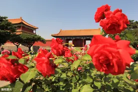 晴明风日雨干时，草满花堤水满溪图片