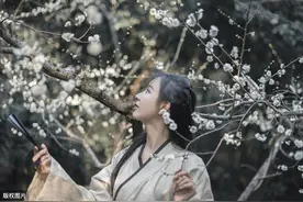 诗经·每日一篇丨大雅·桑柔:朋友已谮不胥以谷,人亦有言进退维谷图片
