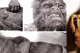 世界上最神秘的生物图片