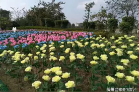爱与被爱的独白图片