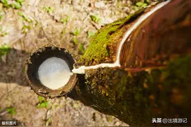 乳胶知识快问快答，你想知道的乳胶知识都在这里！（一）图片