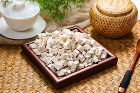农业栽培：茯苓的栽培技术，这些技巧你知道吗？进来学习一下吧图片
