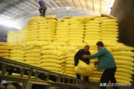 6 项新型肥料标准！见到不要当假肥料！「农艺师讲农业」图片