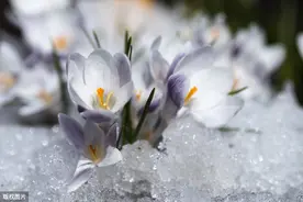 【高阶英语】每日一词|中日双解“thaw”图片