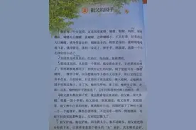 五年级下册语文《祖父的园子》，要怎样学？图片