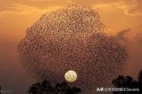 专治密集恐惧症，胆小慎入图片