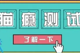 新型“猫瘾”正在肆意蔓延！快来鉴定一下你“上瘾”到什么级别了图片