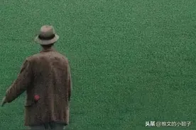 今日推文！《帝台娇》《十八线就等你退婚了》《头号缠人精》图片