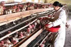 养殖用地审批难吗？可不用审批直接建，这5大利好你没想到图片