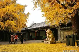 清华大学--水木清华风景图片