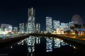 日本在全球还有九个垄断领域图片
