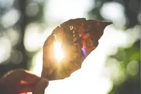 别把好心，给错了人图片