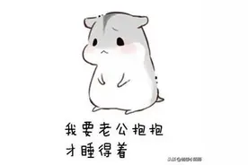 仓鼠表情包：我要老公抱抱才能睡得着图片