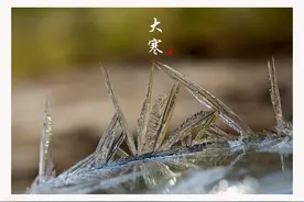 今天是大寒图片