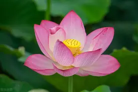 晴归晴，雨归雨，你可以随心所欲，凭什么我不能？图片