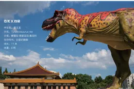 来自“地狱”的killer  “史前暴君”霸王龙的小秘密图片