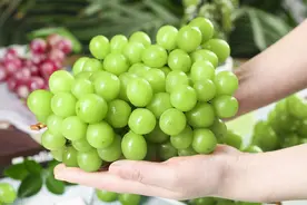 阳光玫瑰，疯狂的网红水果图片