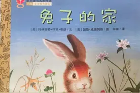 一个关于寻找和归属感的绘本故事《兔子的家》图片