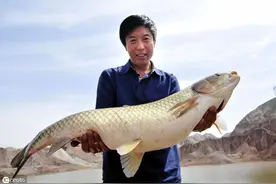 黑坑老板不为人知的秘密曝光以及应对方法图片
