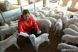 农村养羊成功的关键，养羊新手一定要注意图片