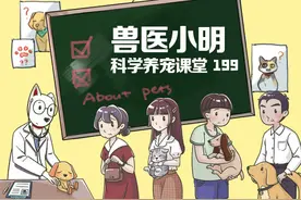 狗和人交流的时候，是听词汇本身还是听语气？答案不那么绝对图片