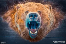 俄罗斯人与棕熊——千年修得共枕眠（下）图片