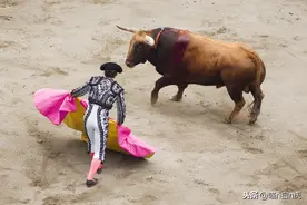 西班牙斗牛——古老赛事图片
