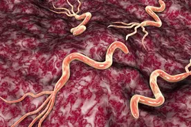 查出来幽门螺杆菌，不吃药能自动好吗？治好后容易再感染吗？图片