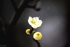 63岁老人坦言：再婚娶一个年轻的妻子，看似风光，实则苦不堪言图片