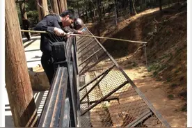 云南某动物园惊现竹竿挂肉“钓老虎”，几十元玩一次，园方：从没跳上来过图片