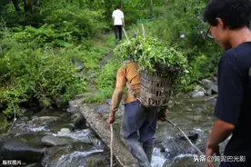 陕西8旬老木匠，原本是重庆人，为啥甘愿在秦岭深山过日子图片