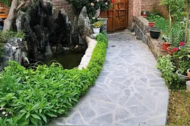 疫情未散，我亲自断绝了儿子一家的后路图片
