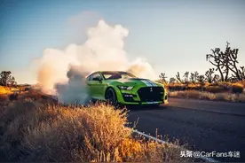 福特野马 谢尔比GT500不可小瞧的肌肉跑车图片