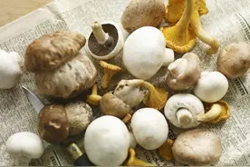 香菇、平菇、金针菇、干制菇......原来肾友最不该吃的是它图片
