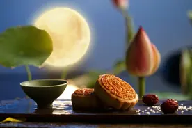 “子宫”有话说......图片