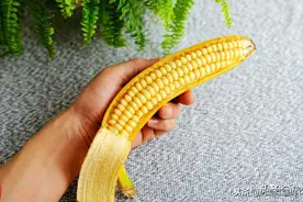 香蕉这么做立马变身玉米样，网友说：你把香蕉弄成了吃不起的样子图片