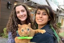 橘猫有双大眼睛，“目瞪口呆”惹人爱，2年前勾住主人，太有魅力图片