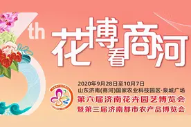 花博会·现场 | 多肉能水培 莲花可食用？带你刷新这些植物的打开方式图片