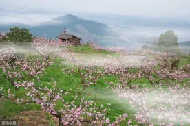 他是隐者，是田园诗祖，是精神偶像，也是凡人——立体解读陶渊明图片
