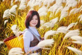 原创散文《蒹葭苍苍》图片