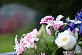巩义：别样清明一样情图片