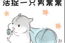 小仓鼠表情包来了，赶紧出来收徒啦！图片