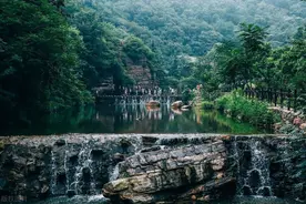 外地户籍办理的旅游年票，如何续费？图片