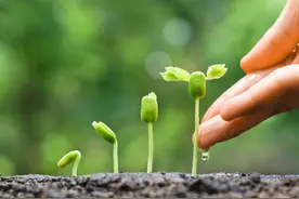 「每天学点英语单词」grow图片