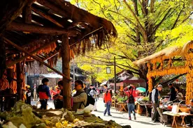 云南旅游不想被坑的话，最好绕过这3个“导游极力推荐”的景点图片